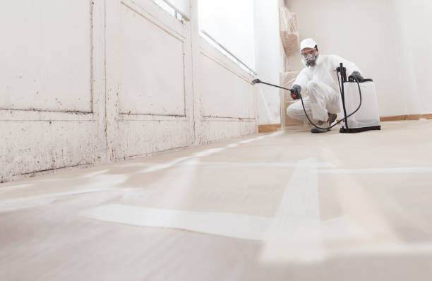 24/7 Emergency Attic Mold Removal experts in Barrington, IL